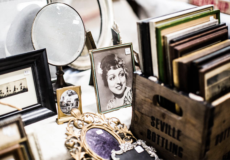 Explore The Collection